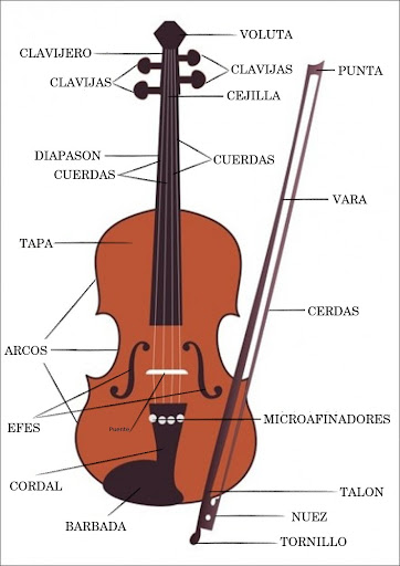 Partes del violin
