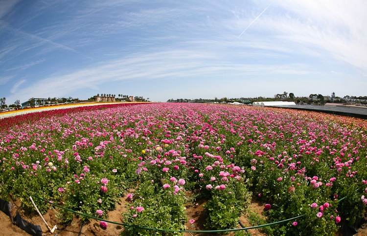 [IMG_3967%255B5%255D.jpg]