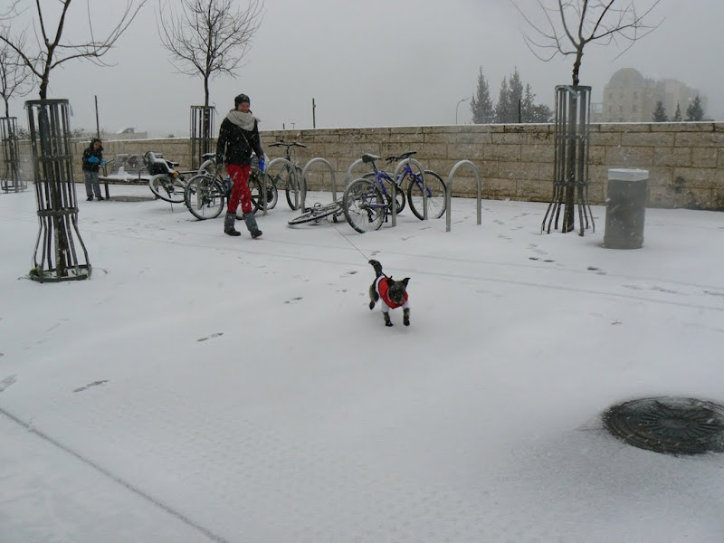 В Иерусалиме снег!!!!