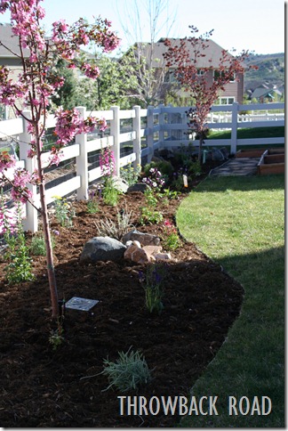 Raised Garden Spring 2012 004 Raised Garden Spring 2012 004