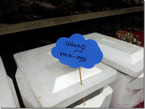 Udang Segar