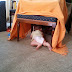 2011-09-26 17.15.51.jpg