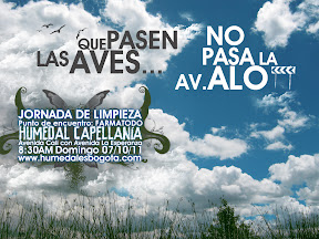 Limpieza_Capellanía.jpg