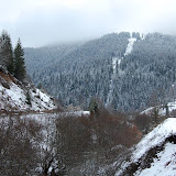 DSC_6749.JPG