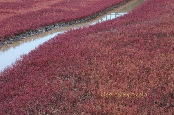 [SYG_4279%255B2%255D.jpg]