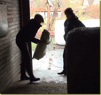 20141219141923-(6) 20141219141923-(6)