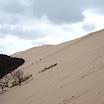 DSC00355.jpg