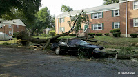 Mother Nature can be a real bitch.