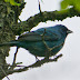 P1290493
