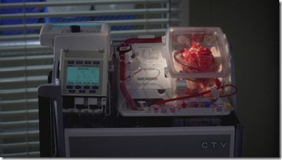 heart-shaped-greys-anatomy heart-shaped-greys-anatomy