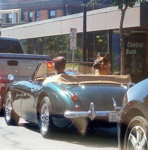 [viral-picdump-pics-56%255B2%255D.jpg]