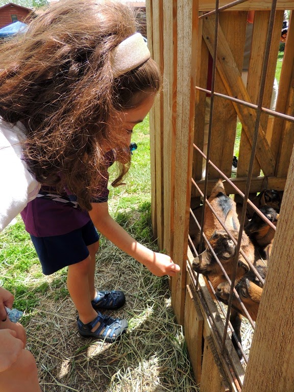 [DSCN8949%255B7%255D.jpg]