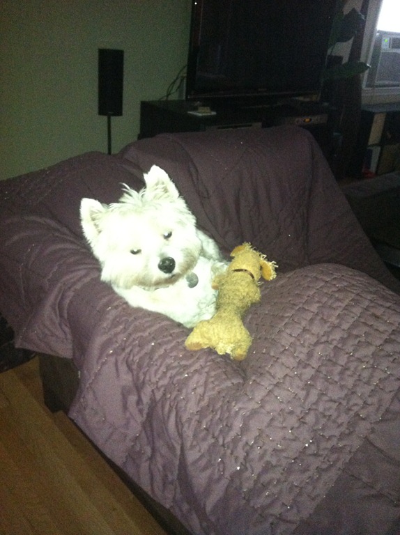 [2012.06.13%2520Sick%2520Pup%255B3%255D.jpg]