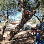 Bike and Brats 2010