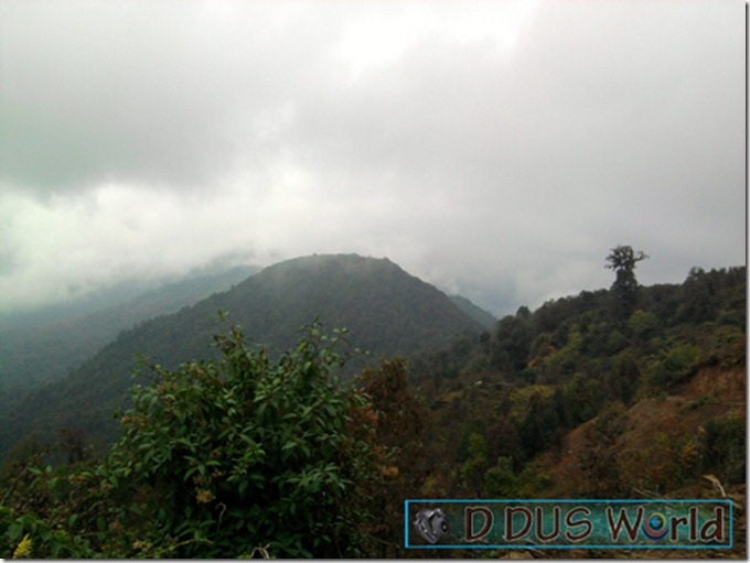 Pathivara yatra (71)