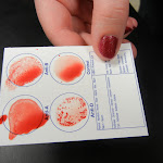DSCN5536.JPG