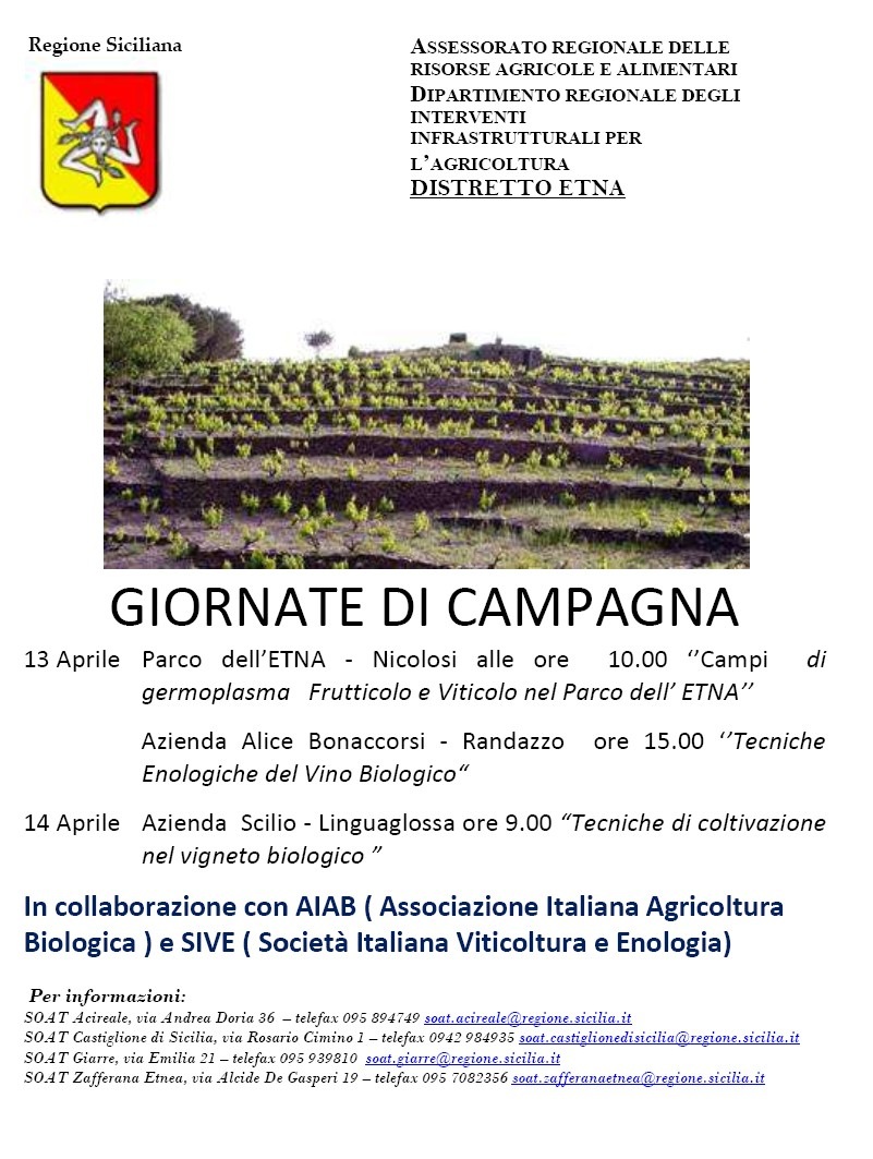 [Senza%2520titolo%255B2%255D.jpg]