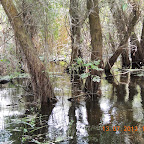 DSCN2949.JPG