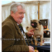 Pedigree Dogs 008.jpg