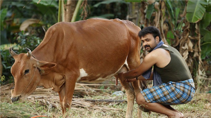 [mallu_singh_stills5%255B3%255D.jpg]