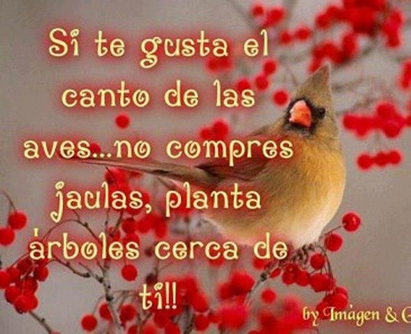 facebook (3) facebook (3)