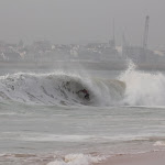 IMG_5520.JPG