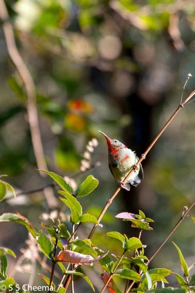 IMG_0381-Edit.jpg IMG 0381 Edit