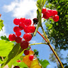 dsc01400.jpg dsc01400.jpg