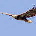 20130406_117