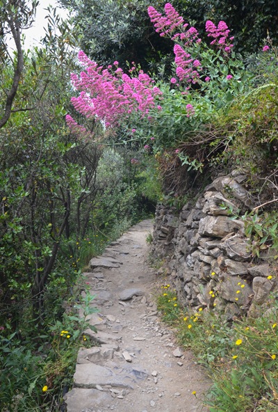 corniglia walk2 corniglia walk2