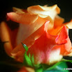 P9152588.JPG