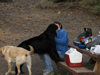 HPIM2363.JPG Photo
