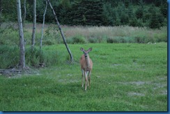 IMG_0977 IMG_0977