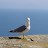 DSC05457.JPG