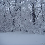 Blizzard TwentyTen - DSC08569.JPG