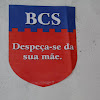 DSCN0100 cópia.jpg