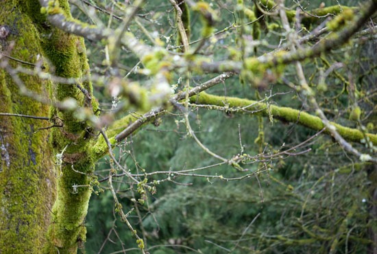 [DSC_3959%255B4%255D.jpg]