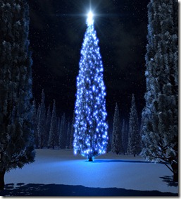 natale albero 2