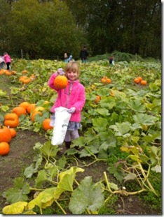 Sami field trip to pumpkin patch
