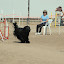 DSC_0131.JPG