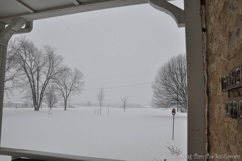 [DSC_0011%255B11%255D.jpg]