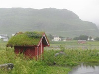IMG_5908 IMG_5908