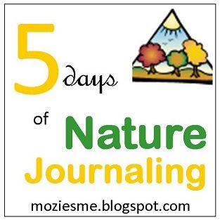 [naturejournaling%255B4%255D.jpg]