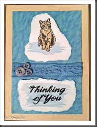 NovaCard-2