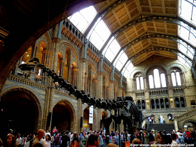 dinosaurio-museo-historia-natural-londres.JPG
