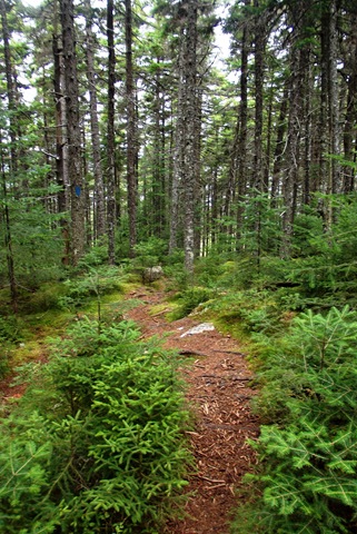 [Mount%2520Kineo%2520087%255B3%255D.jpg]