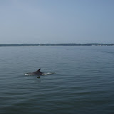 Freedom's Chance Cruise