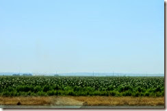 2014-08-07 views from puyallup to moses lake wa (86) 2014-08-07 views from puyallup to moses lake wa (86)