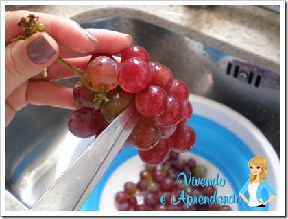 Higienizando as uvas3