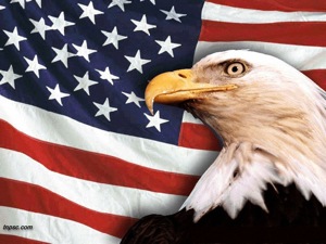 American Eagle.jpg
